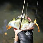 Нічна риболовля на 400 тисяч: чим закінчився рейд на озері Китай