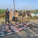 Окунь на малих річках України в червні: спінінгові тактики 2025