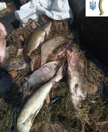 Незаконний вилов: на Полтавщині вилучили човен і сітки