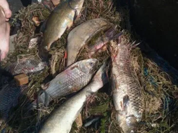 Незаконний вилов: на Полтавщині вилучили човен і сітки