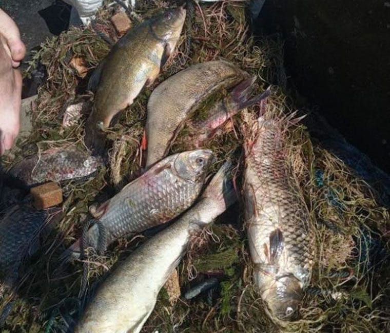 Незаконний вилов: на Полтавщині вилучили човен і сітки