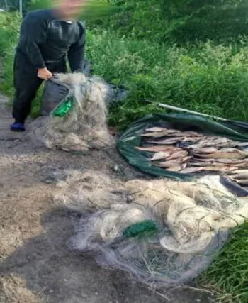 Великий улов браконьєрів: на Житомирщині припинили збитки на 315 тис. грн