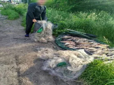 Великий улов браконьєрів: на Житомирщині припинили збитки на 315 тис. грн