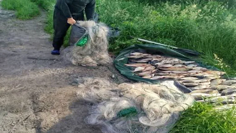 Великий улов браконьєрів: на Житомирщині припинили збитки на 315 тис. грн