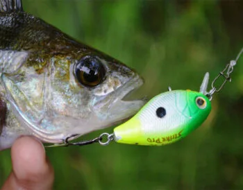 Глубоководные крэнки на судака: тактика для водохранилищ