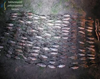 Улов на 880 тысяч грн: чем закончилась незаконная рыбалка на Днестре?