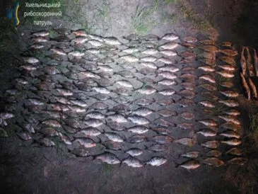 Улов на 880 тысяч грн: чем закончилась незаконная рыбалка на Днестре?