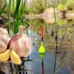 На Черниговщине браконьер сетями наловил рыбы на 45 тыс. грн