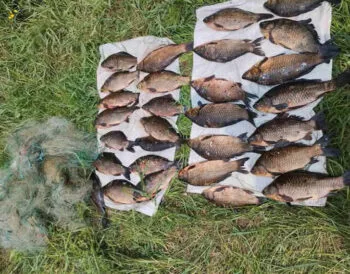 На Черниговщине браконьер сетями наловил рыбы на 45 тыс. грн