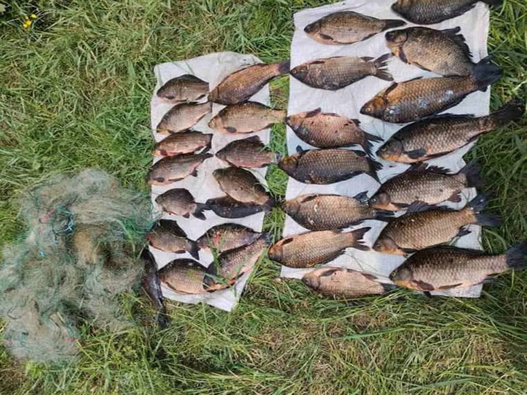На Черниговщине браконьер сетями наловил рыбы на 45 тыс. грн