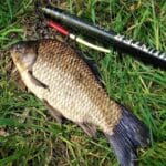 На Черниговщине браконьер сетями наловил рыбы на 45 тыс. грн