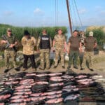 Забудьте о пустых поклевках: «Золотая подсечка» Сабанеева — ключ к ловле крупного карася