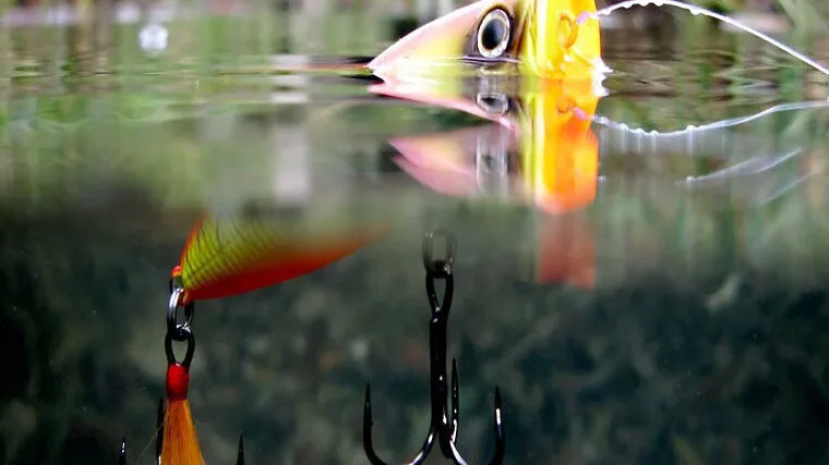 Ловля щуки на попперы: успех на водохранилищах Украины