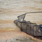 Рыбалка в Киеве 2025: гид по лучшим платным и бесплатным водоемам