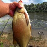 Риболовля з човна 2025: огляд ринку, правила та поради з експлуатації