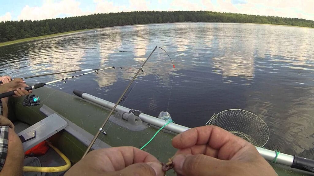 Риболовля з човна 2025: огляд ринку, правила та поради