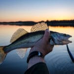 Які човни підходять для риболовлі: розкриваємо 3 секрети, про які мовчать продавці