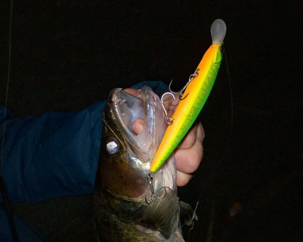 Нічна ловля судака 2025: воблери для мілководдя