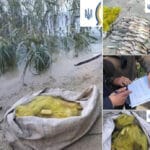 Секрет прикормки “наосліп”: коли не бачиш рибу, але точно її приманюєш