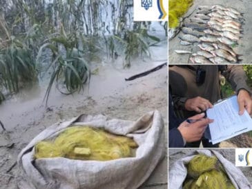 У заказнику «Сулинський» затримано браконьєра