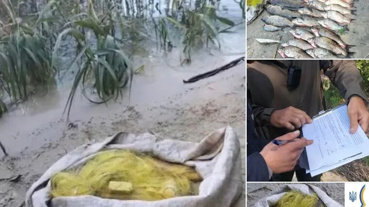 У заказнику «Сулинський» затримано браконьєра