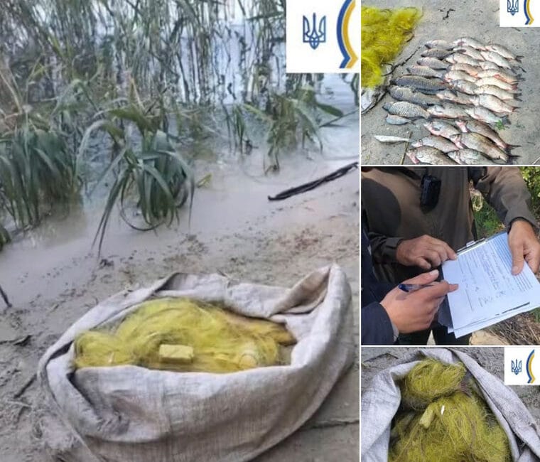 У заказнику «Сулинський» затримано браконьєра