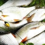 Збитки на 214 тис. грн: у заказнику “Сулинський” затримано браконьєра