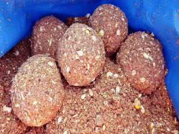 Прикормка працює в 3 рази довше! Секрет, що змінить вашу риболовлю