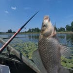 Прикормка работает в 3 раза дольше! Секрет, который изменит вашу рыбалку