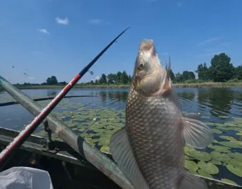 Календар рибалки на липень 2025: коли і де клює найкраще