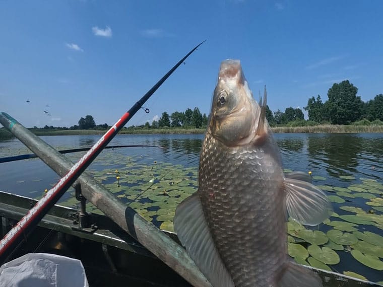 Календар рибалки на липень 2025: коли і де клює найкраще