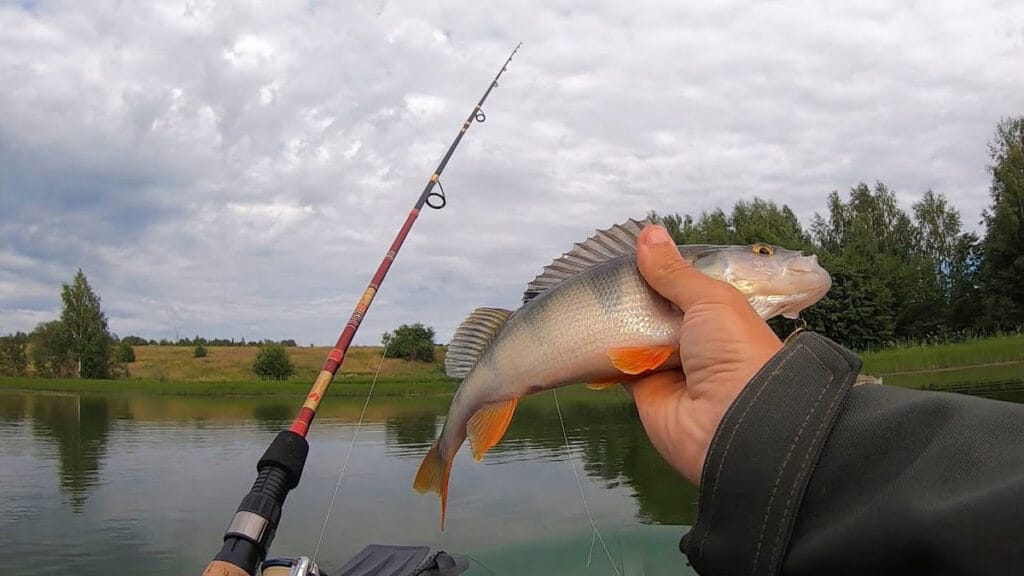 Календарь рыбака на июль 2025: когда и где клюет