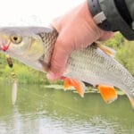 Поплавочная ловля на подъем: классика для осторожного леща и карася снова в тренде