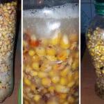 Не знаєте, де ловити окуня? Їдьте на озеро Нобель у Рівненській області – спробуйте твічинг