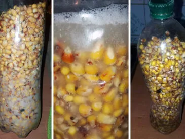 Ферментована прикормка: секрет для великої риби