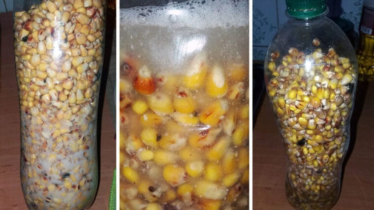 Ферментована прикормка: секрет для великої риби