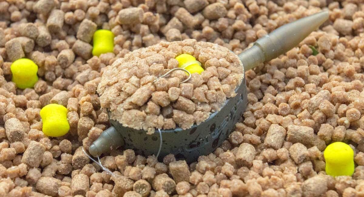 Флет фідер на пелетс: ефективна тактика для коропа та ляща