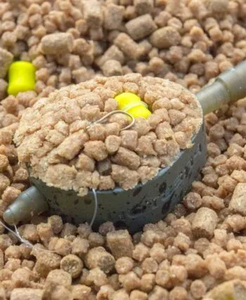 Флет фідер на пелетс: ефективна тактика для коропа та ляща