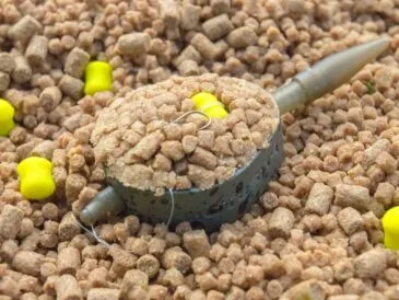 Флет фідер на пелетс: ефективна тактика для коропа та ляща