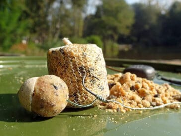 Самодельный аттрактант для карпа: секрет из чеснока и меда