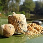 Ловля карася на кукурудзу влітку: снасті, техніка та поради від експерта