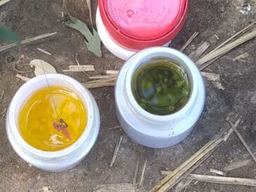 Чим замінити магазинний ароматизатор: 5 домашніх дипів для шаленого кльову