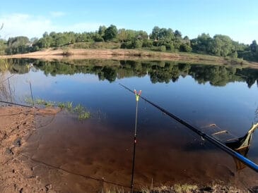 Почему фидер не ловит на течении? Разбираем типичные ошибки новичков