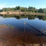 Чим замінити магазинний ароматизатор: 5 домашніх дипів для шаленого кльову