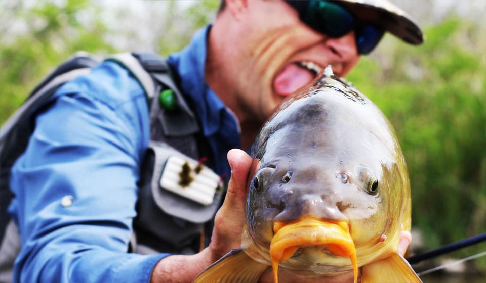 Как выбрать бойлы для карпа: простые советы эксперта