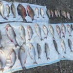 Поиск перспективных мест для ловли леща на реке летом