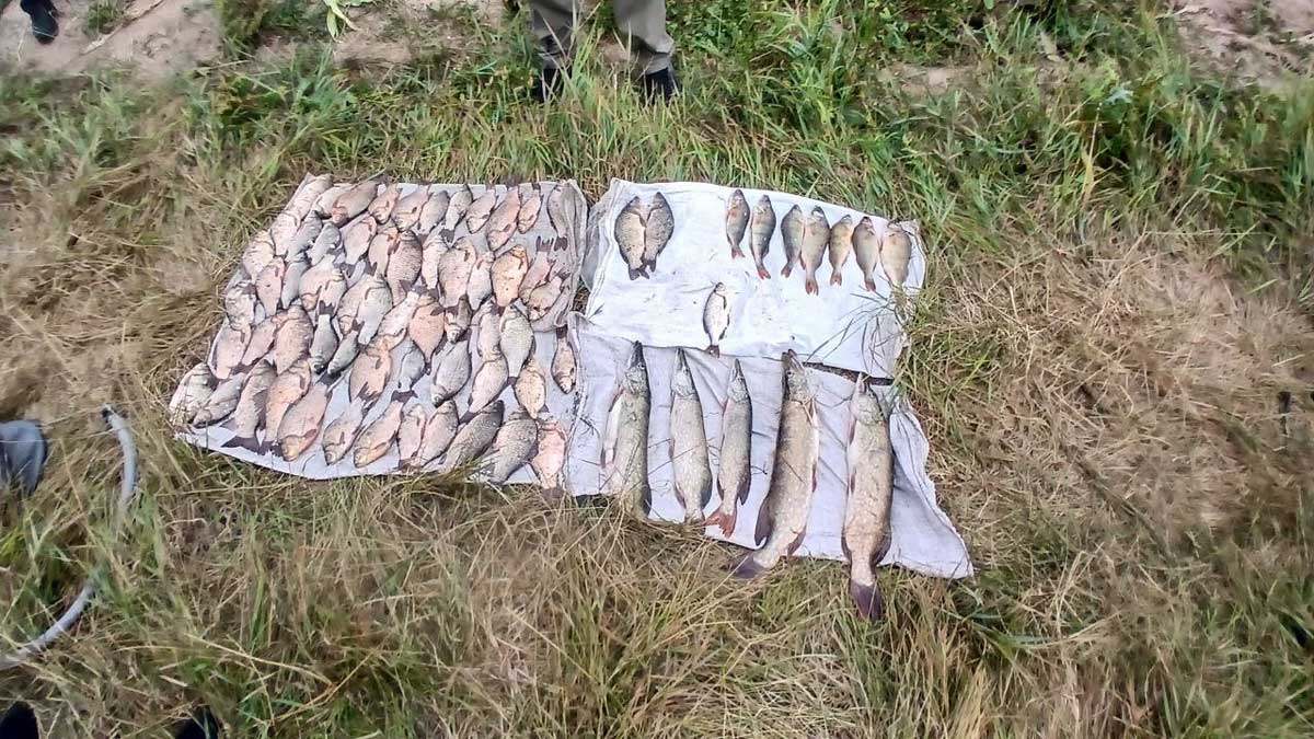 Подробиці браконьєрства в селі Тростянець Вінницької області