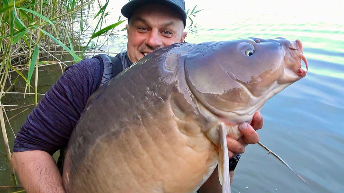 Ловля коропа на платному водоймищі