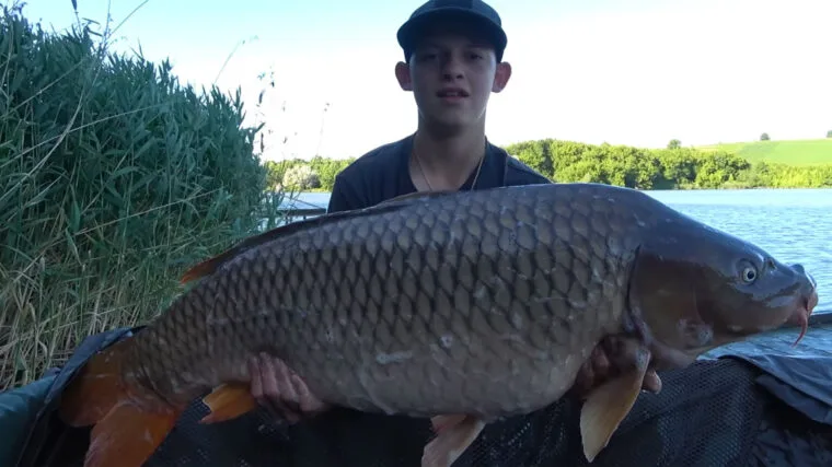 Коропова риболовля: як зловити "монстра"