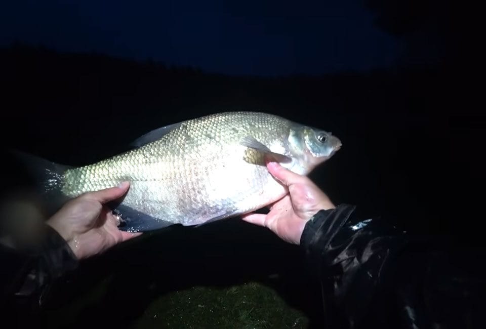 Где сейчас ловят леща: карта клева на 4-6 июля